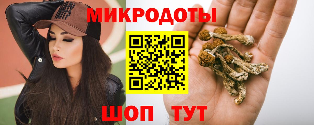 Псилоцибиновые грибы ЛСД  Вход с VPN  Псилоцибиновые грибы Magic Shrooms  где купить наркоту  Пугачёв 